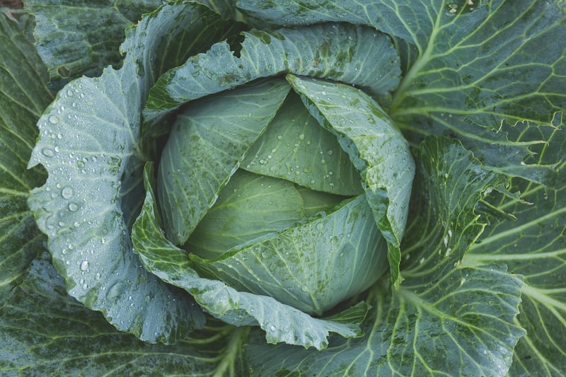Gardening Image